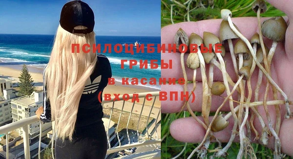 СК Богородицк