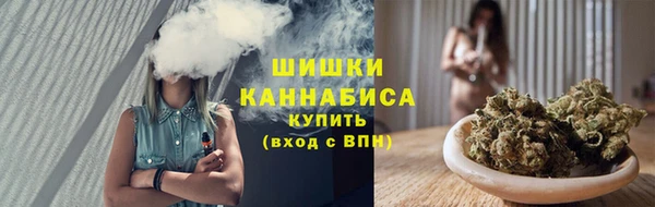соль ск Богородск