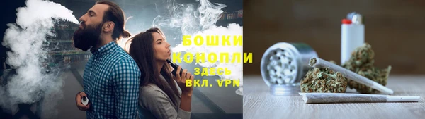 соль ск Богородск