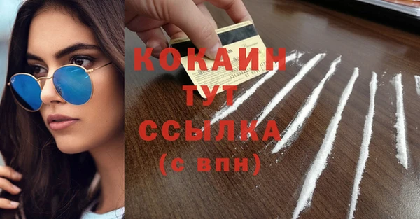 соль ск Богородск